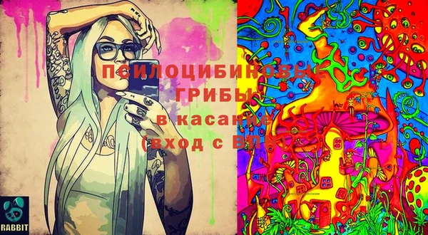 гашиш Абаза