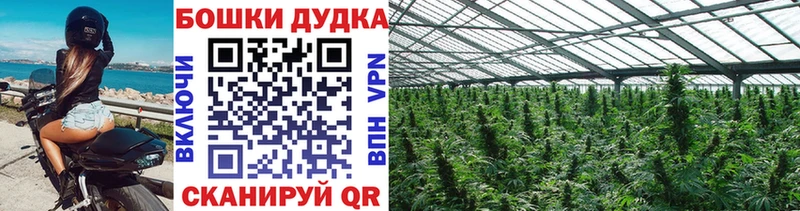 Марихуана OG Kush  hydra ТОР  Александровск-Сахалинский  купить наркоту 